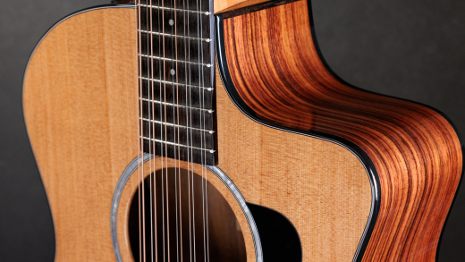254ce Plus Grand Auditorium Rosewood/Spruce 12-String Acoustic/Electric Guitar with Gigbag