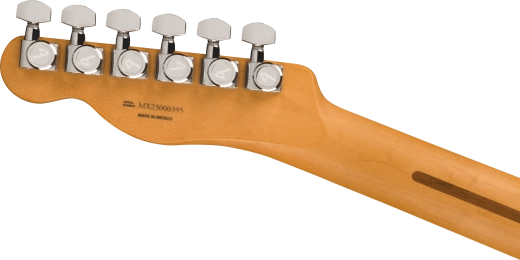 Player Plus Telecaster, Maple Fingerboard - Butterscotch Blonde