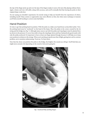 Do-It-Yourself Banjo - Schmidt - Banjo TAB - Book/Media Online