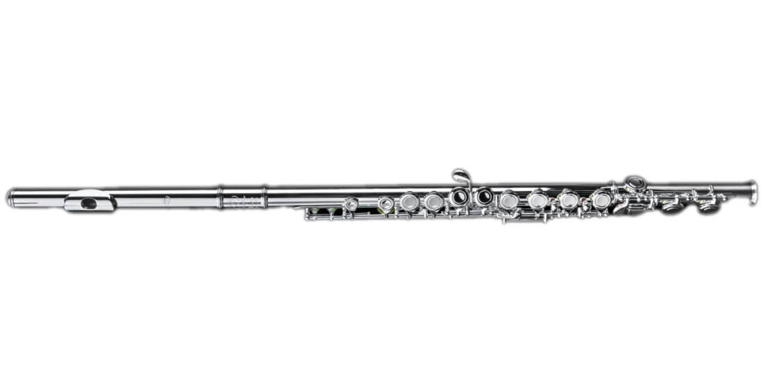 DZ 301CEF Sterling Silver Flute with C-Foot, Offset G, Split-E Mechanism, Open Hole