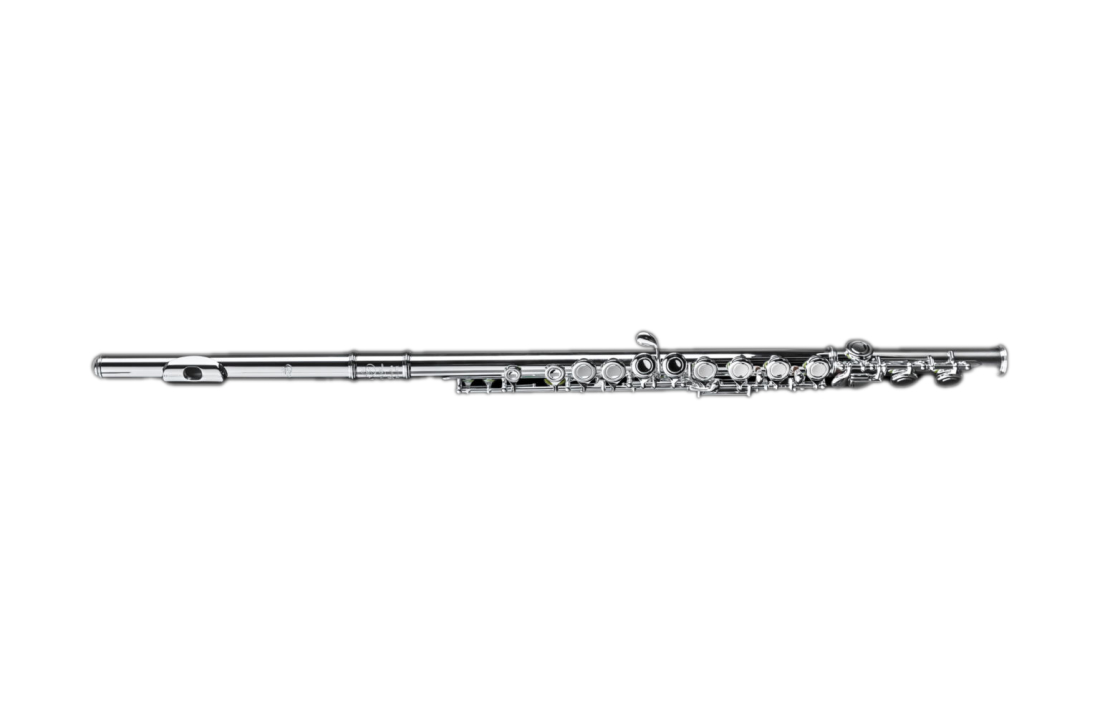 DZ 301CEF Sterling Silver Flute with C-Foot, Offset G, Split-E Mechanism, Open Hole