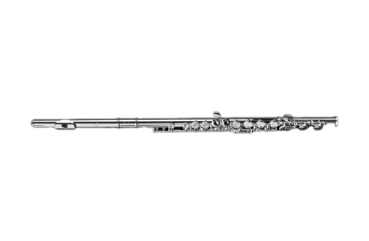 Di Zhao Flutes - DZ 301CEF Sterling Silver Flute with C-Foot, Offset G, Split-E Mechanism, Open Hole