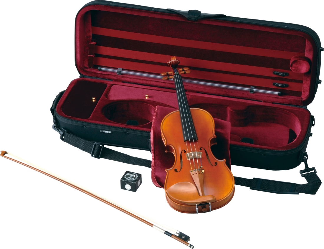 V20SG Professional Violin Outfit - 4/4