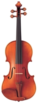 V20SG Professional Violin Outfit - 4/4