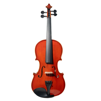 Limited Edition Anniversary Advanced Violin Outfit - 4/4