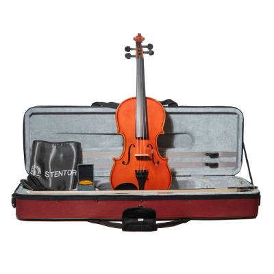 Limited Edition Anniversary Advanced Violin Outfit - 4/4