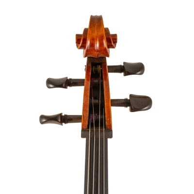 SR65 Step-Up Cello Outfit with Case and Bow - 4/4