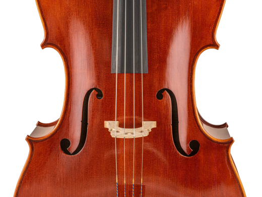 SR65 Step-Up Cello Outfit with Case and Bow - 4/4