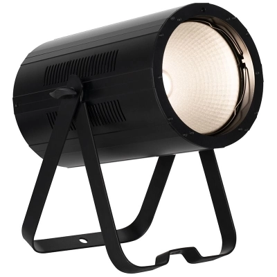 Cob Cannon LP200 Lighting Fixture