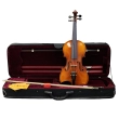 Rhapsody Violin Outfit - 4/4