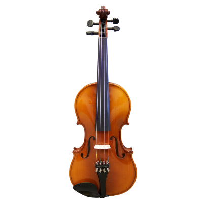Hora Instruments - Ensemble-violon Rhapsody format4/4