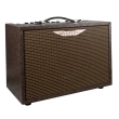 AA-Woodsman-Classic 40 Watt Acoustic Guitar Amplifier