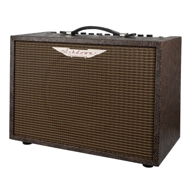 AA-Woodsman-Classic 40 Watt Acoustic Guitar Amplifier