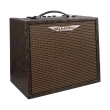 AA-Woodsman-Parlour 25 Watt Acoustic Guitar Amplifier