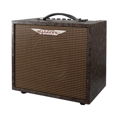 AA-Woodsman-Parlour 25 Watt Acoustic Guitar Amplifier