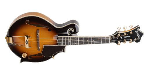 Gold Tone - Guitare-mandoline F-6+ de styleF en fa (capteur et rglage de volume intgrs, tui inclus)