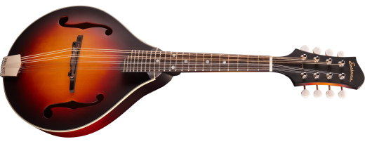 Eastman Guitars - MD305E A-Style Spruce/Maple Acoustic/Electric Mandolin with Gigbag - Sunburst