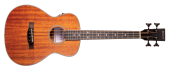 "Denver - Mini Acoustic\/Electric Bass with Gigbag"
