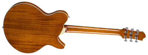 Romeo Electric Guitar with Hardshell Case, Left-Handed - Goldburst