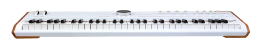 AstroLab 61-Key Stage Keyboard - White