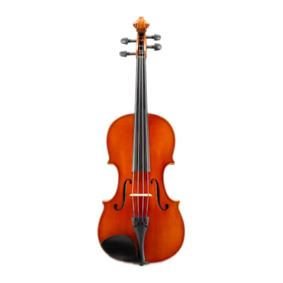 Eastman Strings - VA100 Viola Outfit - 15