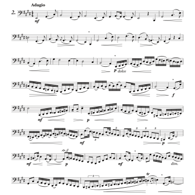 Ten Studies for Low & High Tubas - Brahms/Van Houten - Tuba - Book
