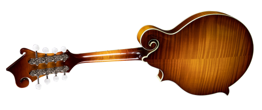 MD615 F-Style Electric Mandolin with Gigbag - Goldbuurst
