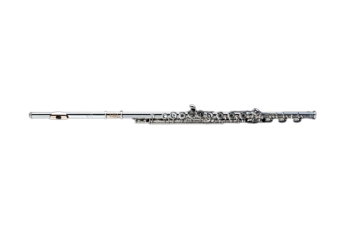 DZ D-SP Handmade Sterling Silver Flute with Split-E Mechanism