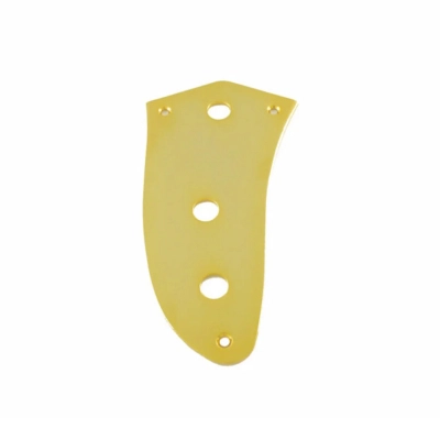 All Parts - Control Plate for Jaguar - Gold