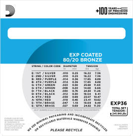 EXP36 - 80/20 Bronze 12-String Light