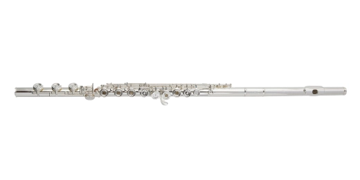 Burkart - Elite Custom Handmade Flute - Platinum with with C# Trill Key