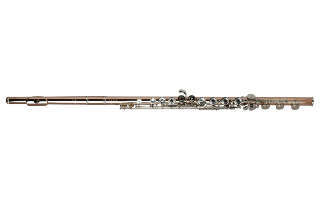 Aurumite 9K Flute with Offset G and Split E