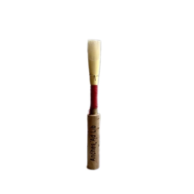 Anches Ad Lib - Intermediate Oboe Reed - Medium