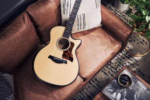 50th Anniversary 314ce LTD Grand Auditorium Ash/Sitka Acoustic/Electric Guitar with Hardshell Case - Natural Top