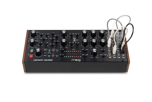 Labyrinth Generative Analog Synthesizer