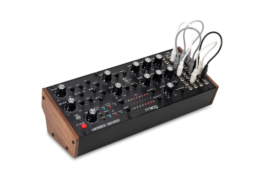 Labyrinth Generative Analog Synthesizer