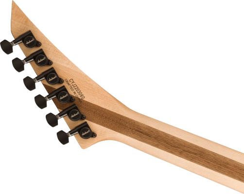 Pro Plus Series Rhoads RR24PS, Ebony Fingerboard - Firestorm