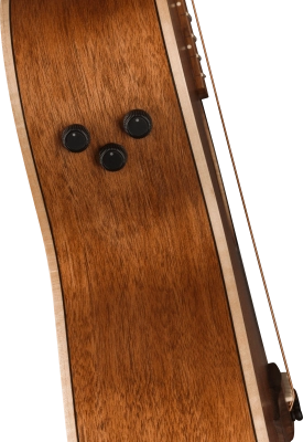 Newporter Special, Pau Ferro Fingerboard, Black Pickguard - Natural