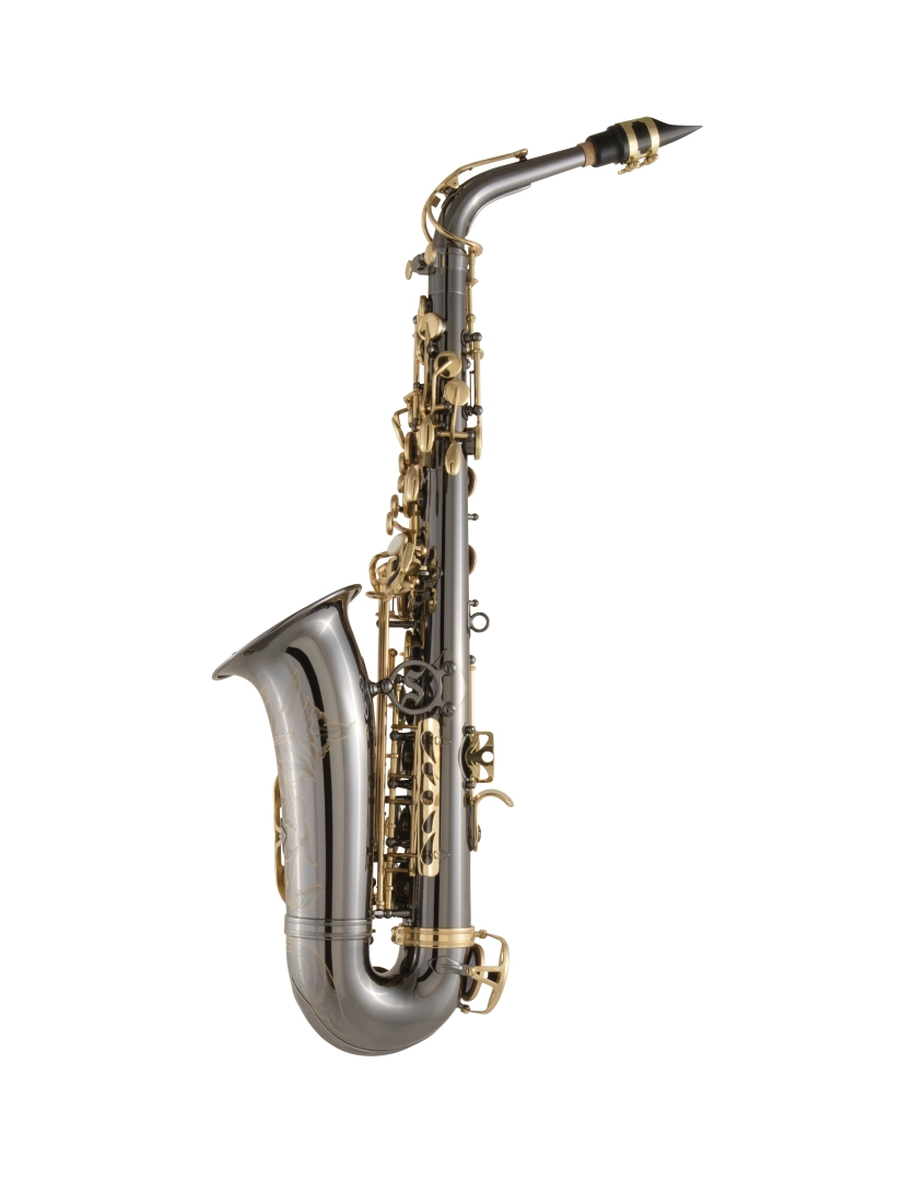 SAS511 Intermediate Alto Sax with Case - Black Lacquer