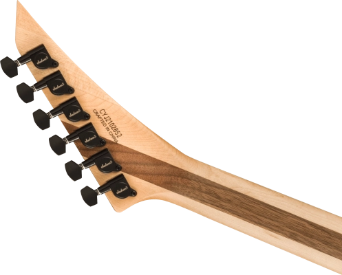 Pro Plus Series Rhoads RR24, Ebony Fingerboard - Mirror