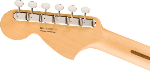 American Performer Sassafras Stratocaster, Rosewood Fingerboard - Mocha