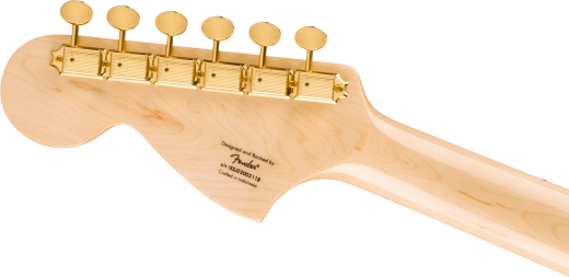 Limited Edition Paranormal Troublemaker Telecaster Deluxe, Laurel Fingerboard - Black