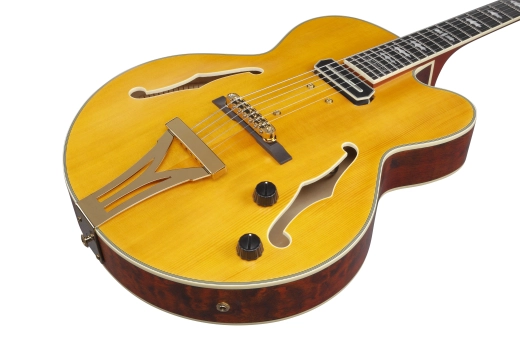 Pat Metheny Signature 6-String Electric Guitar with Hardshell Case - Natural Amber Low Gloss