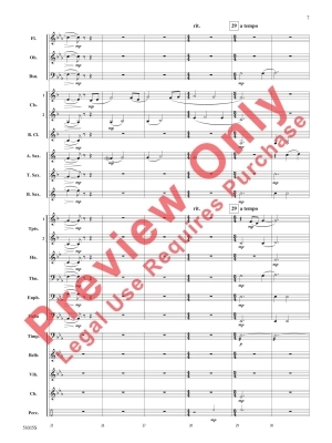 Lone, Wild Bird - Walker/Balmages - Concert Band - Gr. 1.5-2