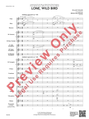 Lone, Wild Bird - Walker/Balmages - Concert Band - Gr. 1.5-2