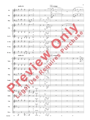 Lone, Wild Bird - Walker/Balmages - Concert Band - Gr. 1.5-2