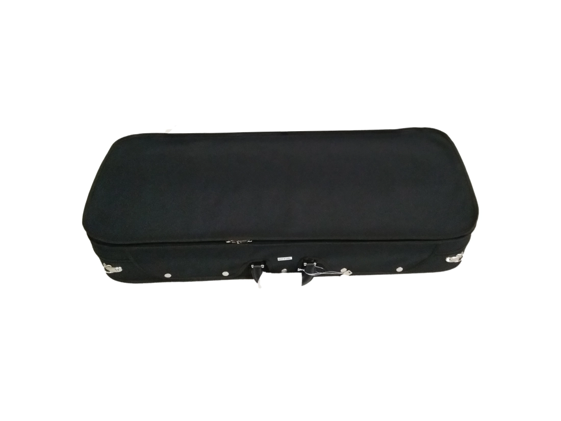 Oblong Double Violin Case