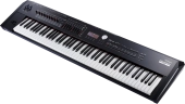 RD-2000 EX Digital Stage Piano