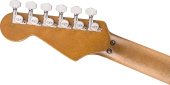 Limited Edition Frankenstein Relic Series, Maple Fingerboard - Silverburst