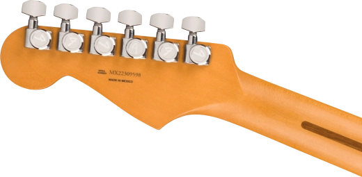 Player Plus Stratocaster, Pau Ferro Fingerboard - Sienna Sunburst